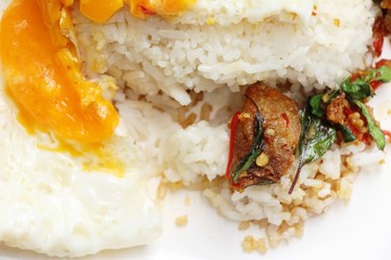 Fried rice basil with crispy pork delicious