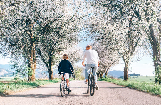 Father and son iding bicycles on country road under blossom trees. Healthy sporty lifestyle concept image.