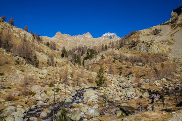 Fototapeta na wymiar Paysage Alpin du Mercantour