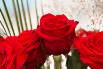 The inflorescence of red roses in a bouquet, closeup.