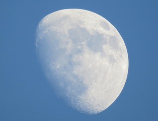 Mond