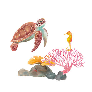 海の生き物の水彩イラスト ウミガメ タツノオトシゴ サンゴ Stock Illustration Adobe Stock 海の生き物の水彩イラスト ウミガメ タツノオトシゴ サンゴ Stock Illustration Adobe Stock