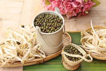 Green beans seed with fresh sprouts bean