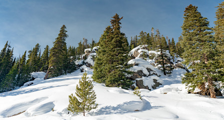 Obraz na płótnie Canvas Landscape of snow covered mountain with pine trees