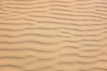  Sand texture. Sandy beach for background. Top view
