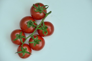 fresh tomatoes on the vine