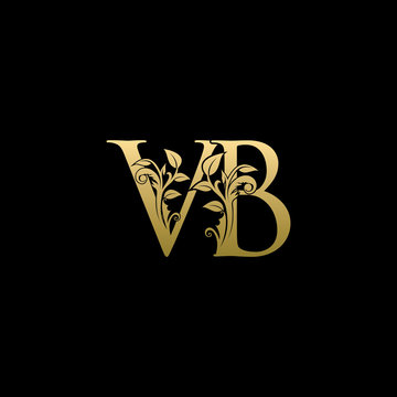 Golden Flower VB Letter Logo