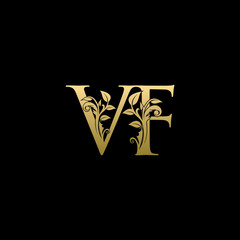 Golden Flower VF Letter Logo