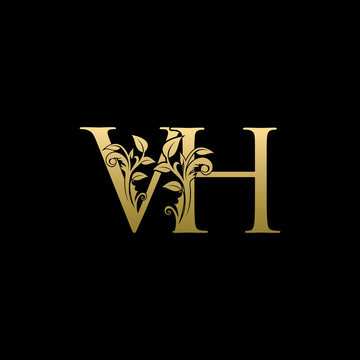 Golden Flower VH Letter Logo
