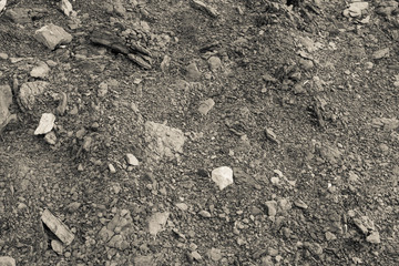 Gold abstract background of limestone stones and crumbs. Abstract texture of limestone soil. Natural golden background. High quality photo