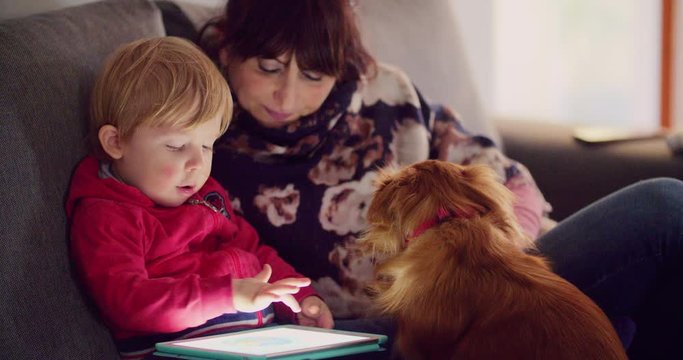 mother with her son using tablet on sofa at home. shot in slow motion