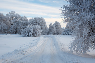 Frost winter in Russia