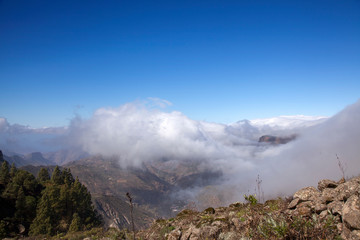 Gran Canaria, February