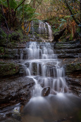 Fototapeta na wymiar Myrtle Gully Falls, Tasmania