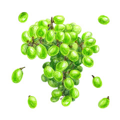 green grapes isolated on white background