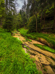 Fall Morning in Bohemian Switzerland, Bohemia, Czech Republic