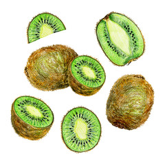 collection of kiwi isolated on white background. Whole fruits and slices
