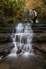 Fototapeta na wymiar Myrtle Gully Falls, Tasmania