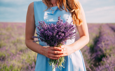 Bouquet of lavender in the hands of a girl in a blue dress