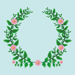 foliage nature leaves