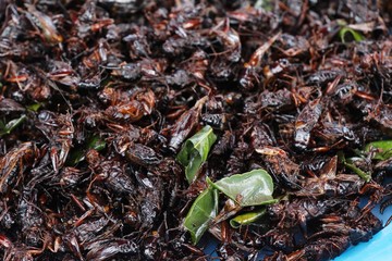 fried insects is delicious at street food