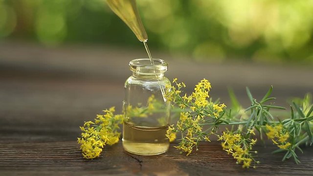 yellow bedstraw essential oil in  beautiful bottle on table