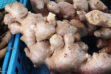 Ginger root for cooking in the market