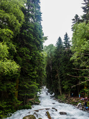 Fototapeta na wymiar Mountain River Hadzibey, Caucasus, Russia, Dombay