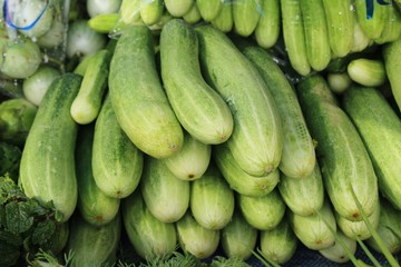 Fresh cucumbers for cooking in the market