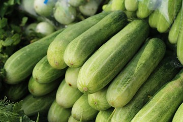Fresh cucumbers for cooking in the market