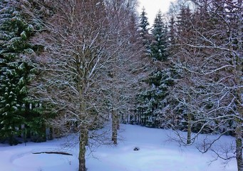 Winterlandschaft