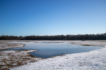 Frozen lake with snow and a clear sky in the Needse Achterveld in Gelderland