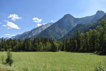 Fototapeta na wymiar Alps in Austria, Mountains in the summer