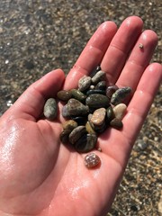 light-skinned girl holding in the palm of a beautiful multi-colored stones on the background of sea turquoise water