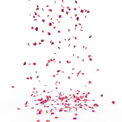 Small rose petals fly and fall to the floor