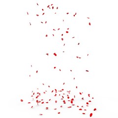 Fototapeta na wymiar Small rose petals fly and fall to the floor
