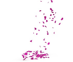 Purple rose petals fall beautifully on the floor