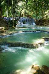 waterfall in the forest