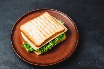Sandwich on a plate, grilled toast, salami sausage, salad lettuce and cheese on a dark background