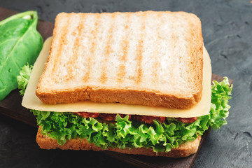 Sandwich with grilled toast, salami sausage, salad lettuce, spinach leaves and cheese on a dark background