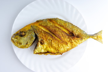Fried fish on white background with selective focus and crop fragment
