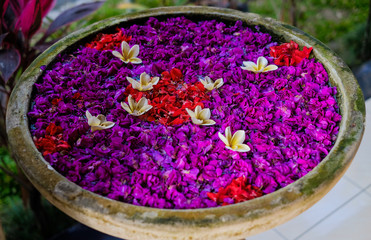 Obraz na płótnie Canvas Flower petals in bowl, Bali