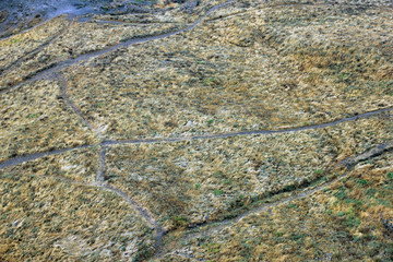 top view of the field with yellow sun-scorched grass and trodden paths