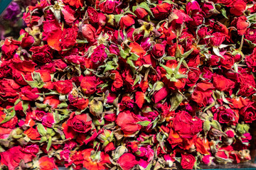 Dried red tea rose flowers close up