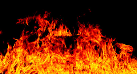 Fire flames on a black background