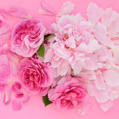 Flowers of summer with rose and peonies flower heads and petals  also used in herbal and naturopathic medicine. Top view, flat lay on pink background.