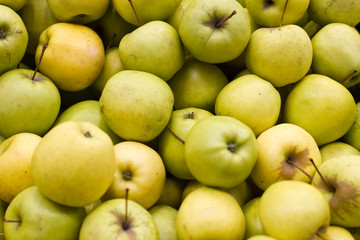 apples on the counter in the vegetable department of the supermarket