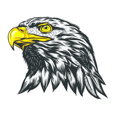 Head of Eagle Strong Style, Vector Illustration, Isolated Vector
