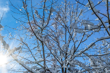 Schöner Wintertag nach Neuschnee