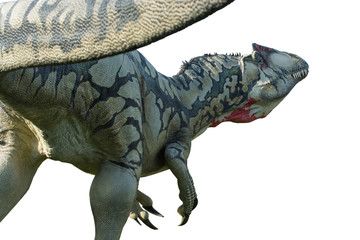 Allosaurus isolated on white background